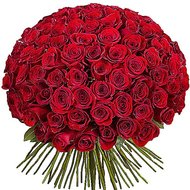 101 голландская роза