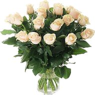17 кремовых роз