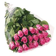 Голландские розовые розы
