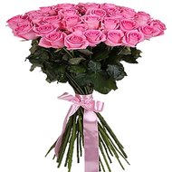 37 розовых роз