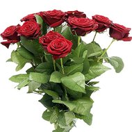 15 красных роз