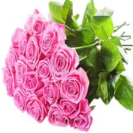 23 розовые розы