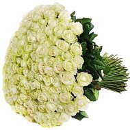 Самый большой букет из роз