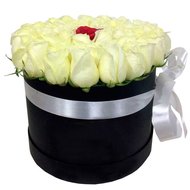 Белые розы и одна красная в коробке