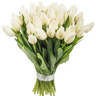 Белые тюльпаны купить