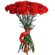 Букет 25 гвоздик