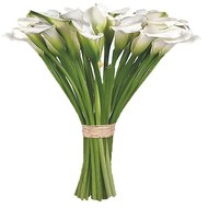 Букет из белых калл
