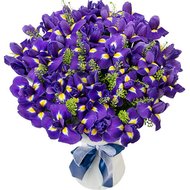 Букет из ирисов купить