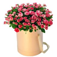 Коробка 19 розовых кустовых роз