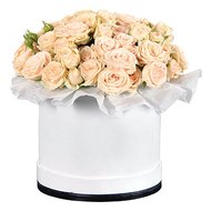 Коробка из 25 кремовых роз