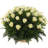 Корзина из 51 розы