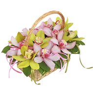 Корзинка из розовых и зеленых орхидей