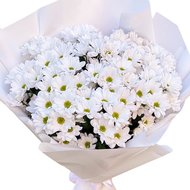 Купить ромашки с доставкой