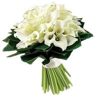 Огромный букет из калл