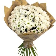 Ромашки в букете