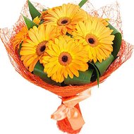 Sunny bouquet of gerberas