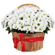 Большая корзина из ромашковых хризантем