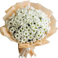 Букет из 25 хризантем