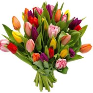 Букет из 35 тюльпанов