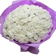 Букет из 55 хризантем