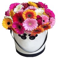 Цветы в круглой коробке