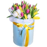 Коробка из 35 тюльпанов