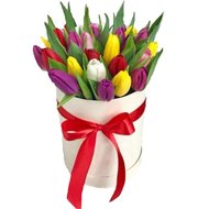 Коробка разноцветных тюльпанов