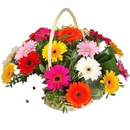 Корзина из 21 герберы