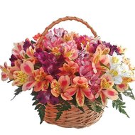Корзина из 25 альстромерий