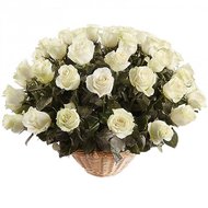 Корзина из 51 белой импортной розы
