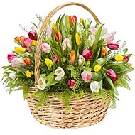 Корзина из тюльпанов