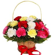 Разноцветные гвоздики в корзине