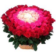 Шикарная корзина из 101 импортной розы