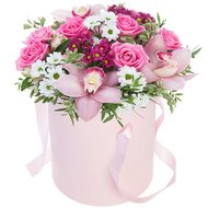 Живые цветы в коробке