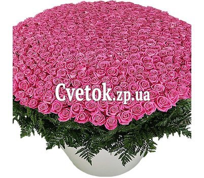 1001 розовая роза