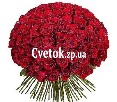 101 голландская роза