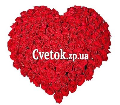 101 красная роза сердце