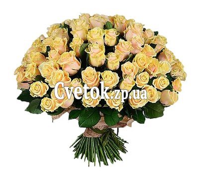 101 кремовая роза