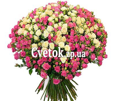 101 кустовая роза