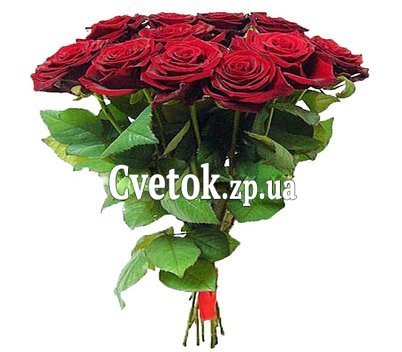 11 красных роз