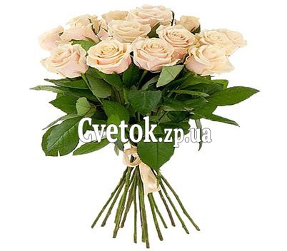 15 кремовых роз