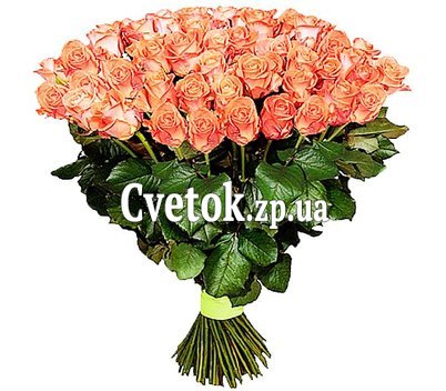 151 коралловая роза Вау