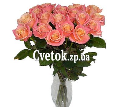 17 роз мисс пигги