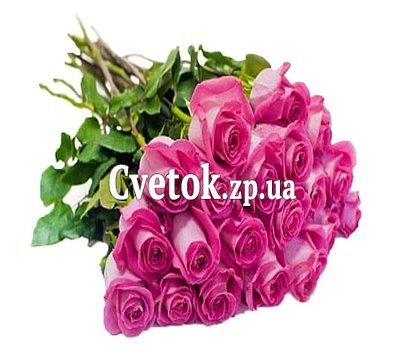 25 розовых импортных роз