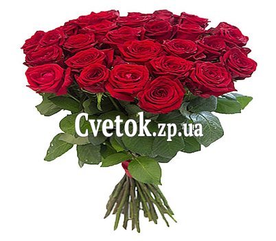 27 красных роз