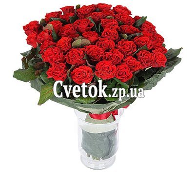 47 красных роз