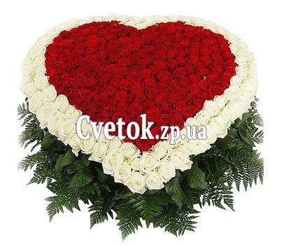 501 rose bouquet to buy