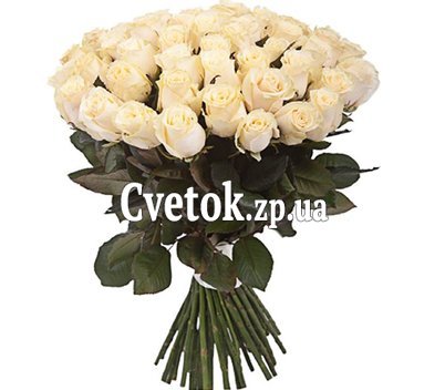 51 кремовая роза