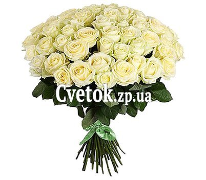 51 роза заказать