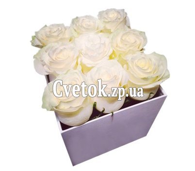 9 белых роз в квадратной коробке
